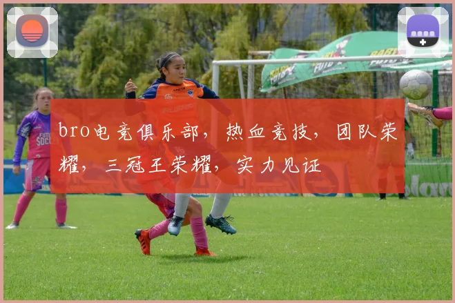 bro电竞俱乐部，热血竞技，团队荣耀，三冠王荣耀，实力见证