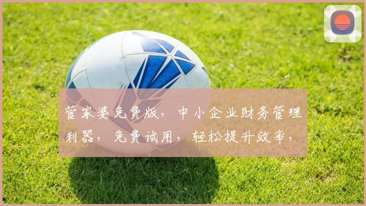 管家婆免费版，中小企业财务管理利器，免费试用，轻松提升效率，助力企业成长