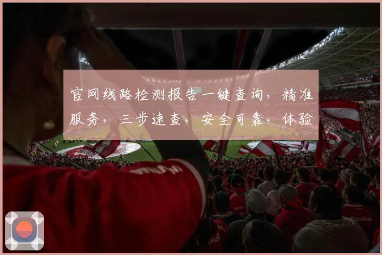 官网线路检测报告一键查询，精准服务，三步速查，安全可靠，体验无忧。