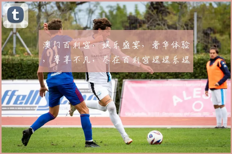 澳门百利宫，娱乐盛宴，奢华体验，尊享不凡，尽在百利宫逗逗乐逗逗赢，玩转澳门